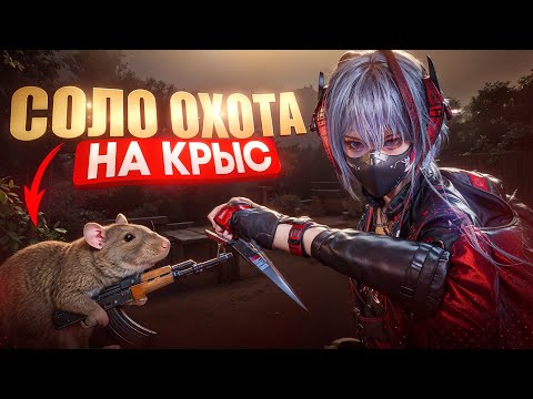 Видео: Я ОБОЖАЮ СОЛО РЕЖИМ в Delta Force