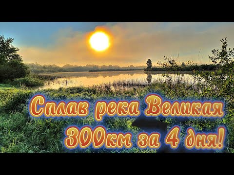 Видео: Сплав река Великая 300км 1-я часть