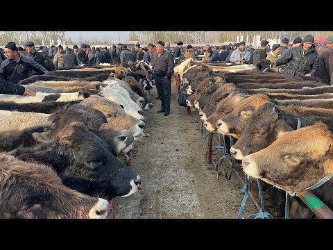 Видео: 18 ноября 2025 г АНДИЖОН ШАХРИХОН ЧУЖА МОЛ БОЗОРИ ЁШ НОВВОСЛАР НАРХЛАРИ ANDIJON SHAXRIHON CHOʻJA MOL