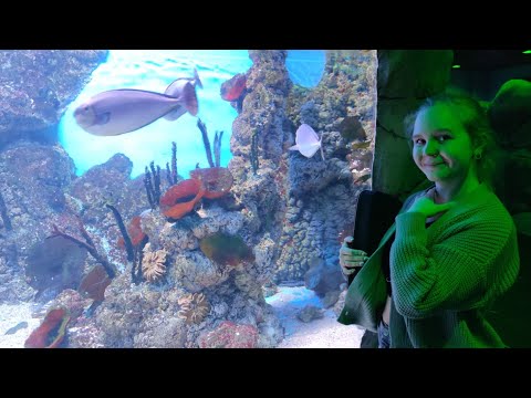 Видео: 🐠Крокус Сити - Океанариум 🐊Часть 1🐧#mao25🐒