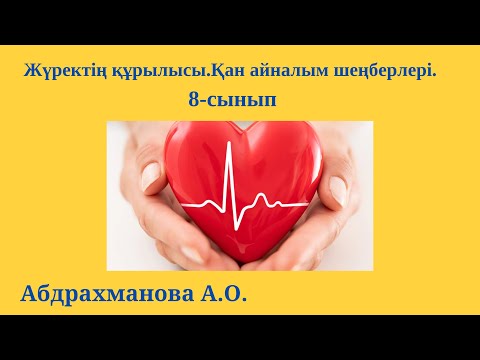 Видео: Жүректің құрылысы.Қан айналым шеңберлері.8-сынып