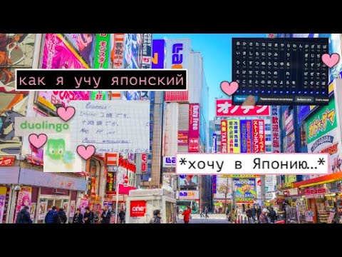 Видео: как я учу японский? / 日本 влог p.1