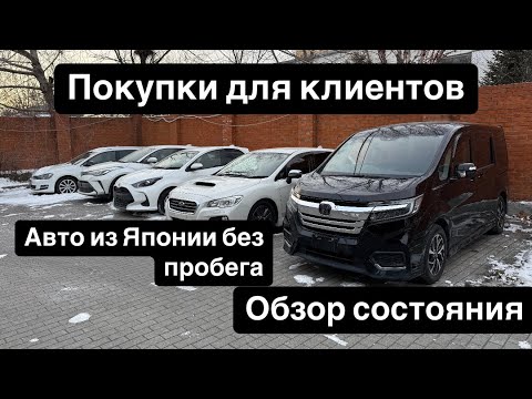 Видео: Покупки под заказ из Японии! Stepwagon Levorg Yaris C-HR Golf Variant . Обзор состояния автомобилей