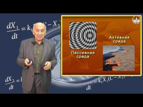 Видео: Твердислов В.А. Симметрии как механизм биологической эволюции Часть2