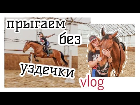 Видео: VLOG: конкур на кордео/день из жизни конника