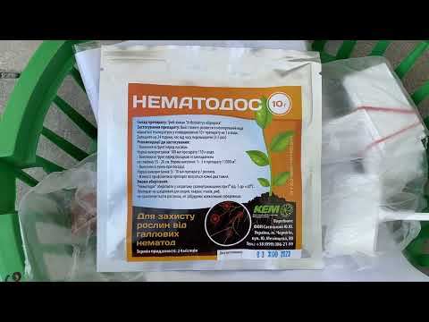 Видео: Нематода - боротьба зі шкідником та новий препарат для цього