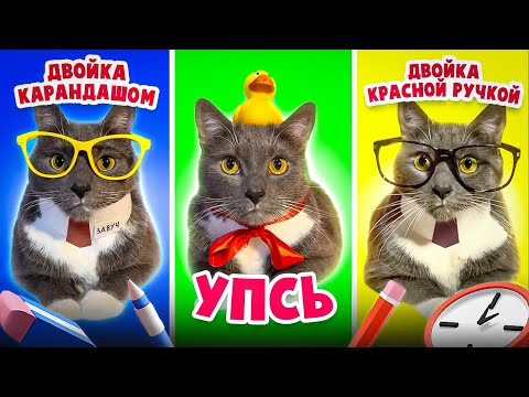 Видео: ТИПЫ УЧИТЕЛЕЙ - ЕСЛИ БЫ КОТИКИ ХОДИЛИ В ШКОЛУ