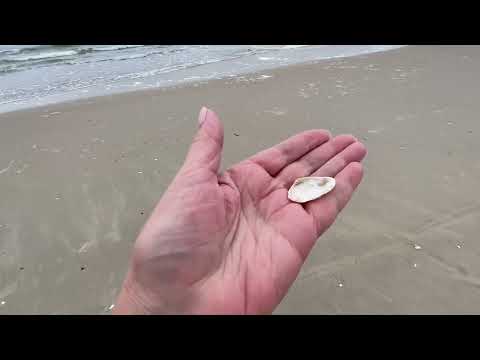 Видео: Литва 🇱🇹 Уезжаем из Паланги. Паромная переправа. Куршская коса.