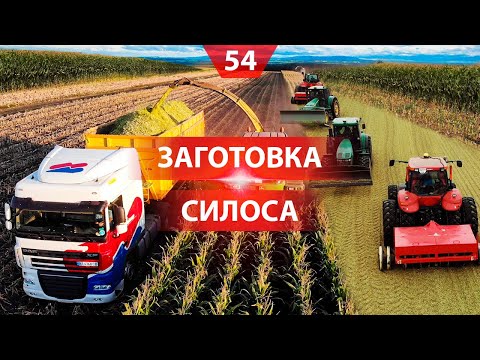 Видео: Заготовка силоса. Уборка кукурузы на поле и консервация