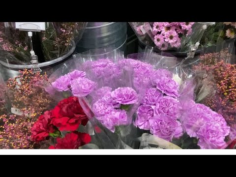 Видео: Впервые вижу такие цветы, обзор цветочного магазина в Швеции