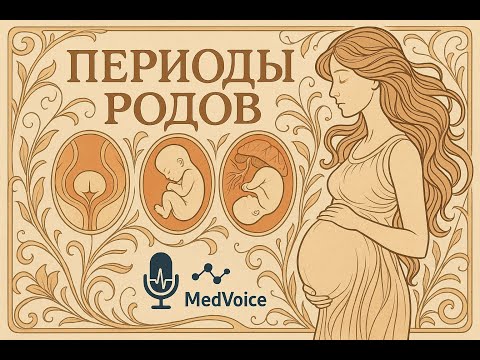 Видео: Физиологические роды. Часть 2: Периоды родов — от раскрытия до рождения