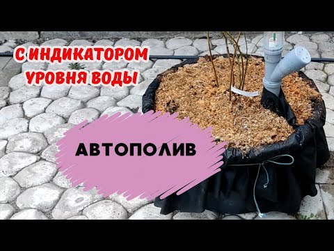 Видео: самодельный АВТОПОЛИВ для огромных вазонов горшков контейнеров С ИНДИКАТОРОМ УРОВНЯ ВОДЫ