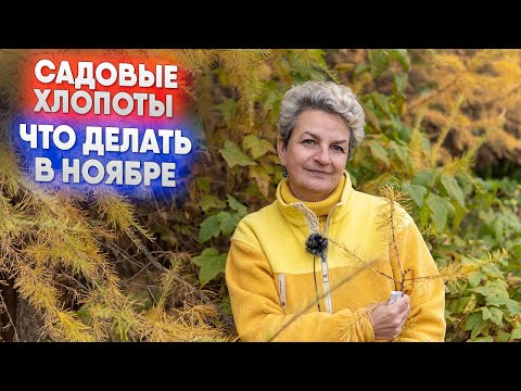 Видео: Садовые хлопоты   что делать в ноябре