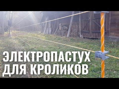 Видео: электропастух для кроликов