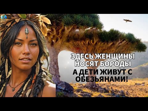 Видео: Так Живут На СОКОТРА — Острове С Самыми Странными Женщинами В МИРЕ! Документальный Фильм