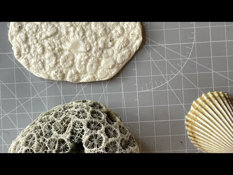Видео: Фактура камня и ракушки