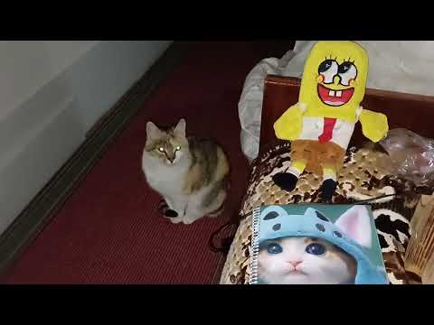 Видео: Торт Наполеон , учимся английский с Муськой