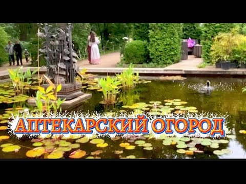 Видео: МОСКВА.АПТЕКАРСКИЙ ОГОРОД.ЭТО ПРОСТО ЧУДО!СТОИТ ПОСЕТИТЬ#на пенсии в деревне