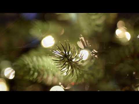 Видео: Блюз, исп. Джаз-трио Андрея Беспалова