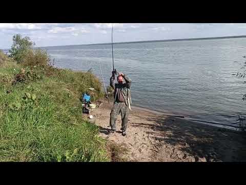 Видео: Рыбалка на Оби. "Золотые пески", выходные! 