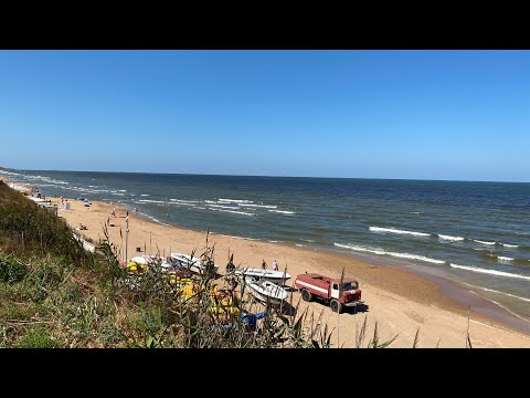 Видео: Влог, море🌾🌊🏄‍♀️