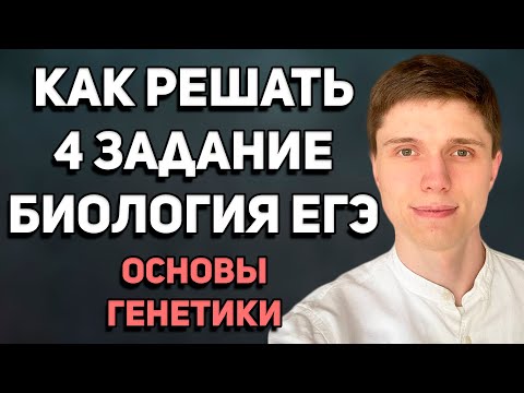 Видео: Как решать 4 задание ЕГЭ по биологии | Основы генетики