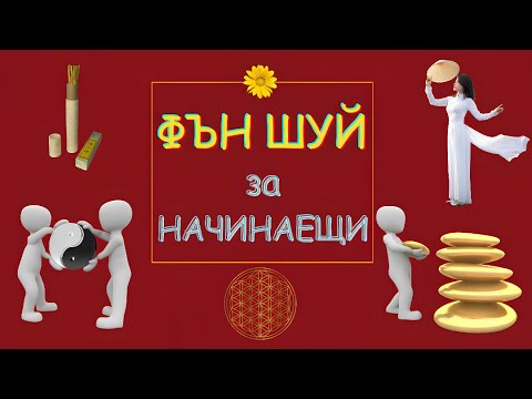 Видео: Фън Шуй за начинаещи: Как да привлечем позитивна енергия у дома? 🏡✨