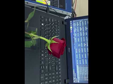 Видео: ТОЙ ЫРЛАРЫ 2024 ХИТ 😍#той #тойырлары #зарубежные#антрак#джсаян