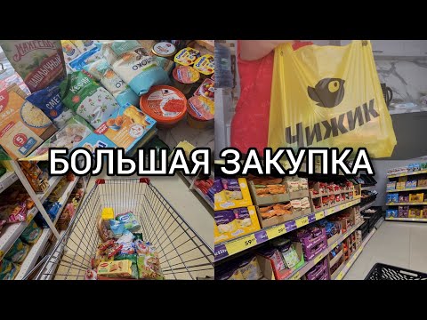 Видео: ХОЖУ ПО МАГАЗИНАМ: СВЕТОФОР🚦ЧИЖИК🐦МАГНИТ 🛒АГРОКОМПЛЕКС 🌾