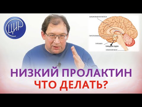 Видео: Низкий пролактин из-за достинекса. Что делать и как влияет на организм низкий пролактин.