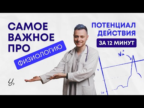 Видео: Физиология возбудимых тканей | Потенциал действия