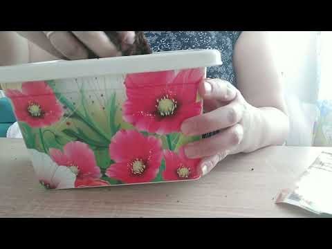 Видео: Антуриум Арион, посадка деленки с воздушными корнями