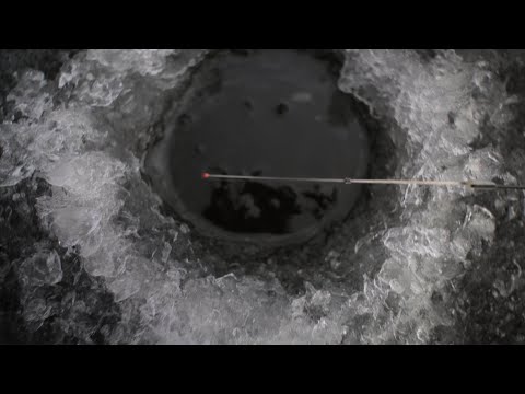 Видео: ПЕРВЫЙ ЛЁД. СЕВЕРНЫЕ ОКУНИ НА БЕЗМОТЫЛКУ