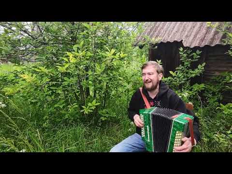 Видео: Черёмуха #фольклор #песня #песнядлядуши #folklor