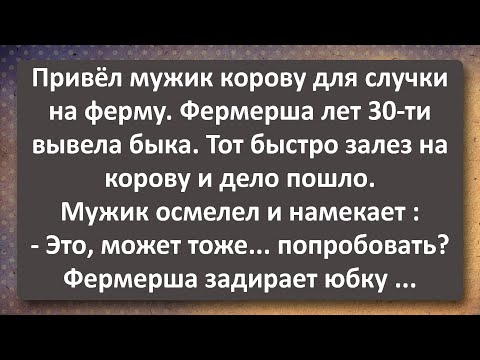 Видео: Фермерша 30 лет и Кашпировский! Сборник Легендарных Анекдотов! Юмор!