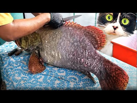 Видео: ЧТО СЛУЧИЛОСЬ С РЫБКАМИ С ALIEXPRESS?