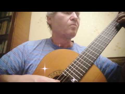 Видео: Чиж. С. Чиграков. Полонез.