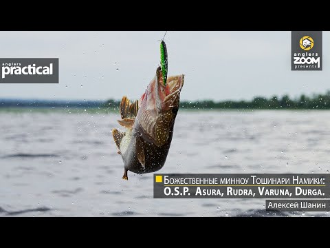 Видео: Божественные минноу Тошинари Намики: O.S.P. Asura, Rudra, Varuna, Durga. Шанин А. Anglers Practiсal