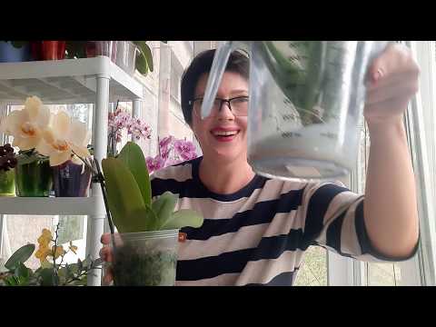 Видео: Что делать если сгнили корни. Часть вторая