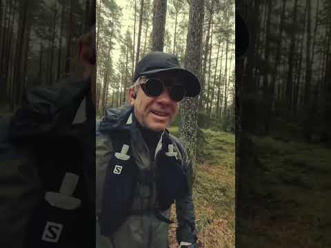 Видео: Реальная опасность прокрастинации.