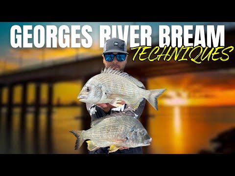 Видео: Методы рыбалки, которые помогут вам поймать больше КАЧЕСТВЕННОЙ рыбы!