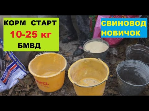 Видео: Корм для свиней. СТАРТ 10-25 кг. Тестируем БМВД Калинка. Свиноводство.