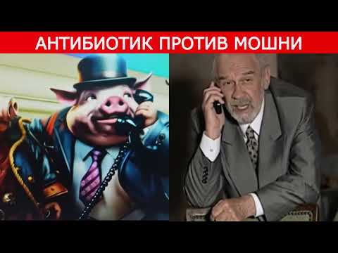 Видео: Полёт мошни