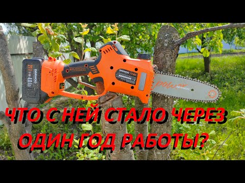 Видео: Аккумуляторная мини цепная пила Daewoo Power Products DACS 821Li SET Что с ней стало через год