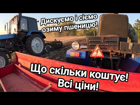 Видео: Дискуємо і відразу сіємо озиму пшеницю! Всі ціни! Чи доцільно цим займатися з найманою технікою??!!!