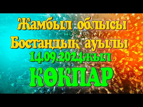 Видео: Жамбыл облысы Талас ауданы Бостандық ауылы 14.09.2024 жыл КӨКПАР