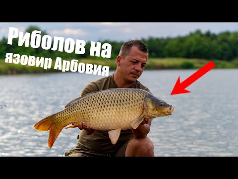 Видео: Риболов на язовир Арбовия