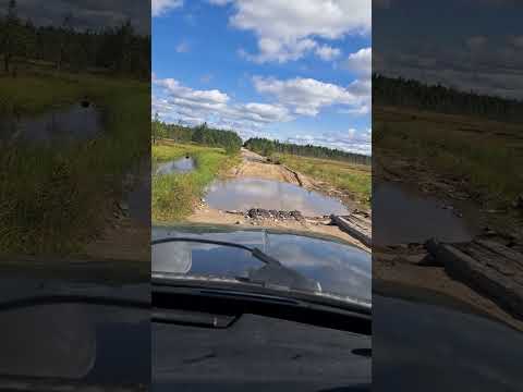Видео: Дорога в Архангельскую область.Надвоицы,Унежма,Золотуха,Малошуйка.Забытые поселки.Август 2023.