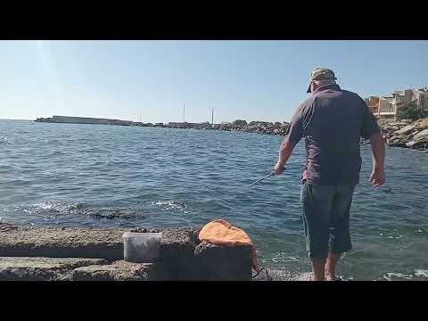 Видео: На морской рыбалке