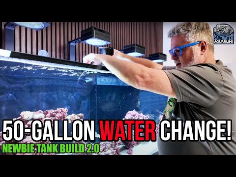 Видео: Масштабная замена воды в соляном аквариуме + простая настройка УФ-стерилизатора | Сборка аквариум...